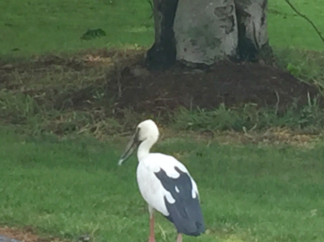 The Royal Golf & Country Club-挽捎通必去景点