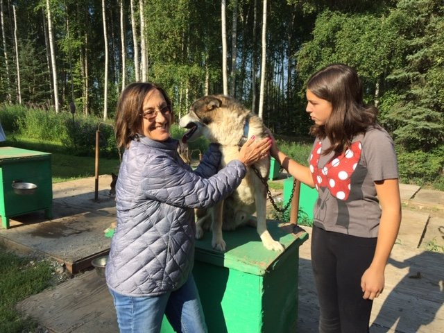 Frisky Pups Bed & Breakfast and Sled Dog Tours-费尔班克斯必去景点