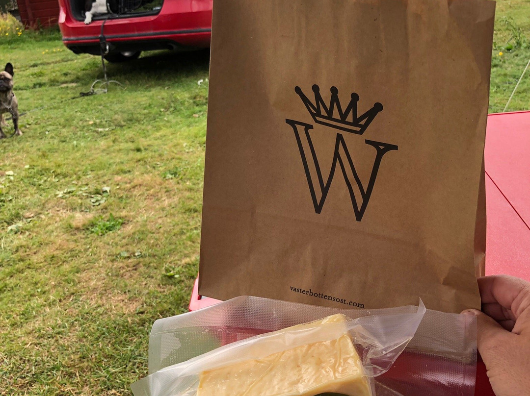 Västerbottensost besökscentrum