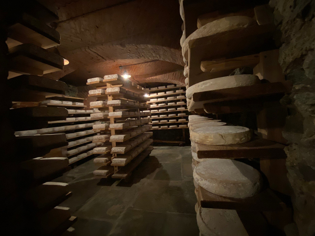 Le Antiche Stagionature Di Beppino Occelli景点图片