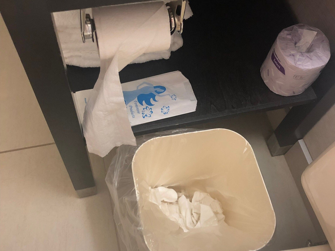 Comfort Inn Levis主图