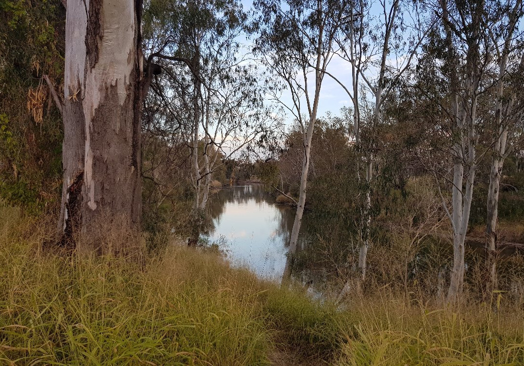 Gunsynd The Goondiwindi Grey景点图片