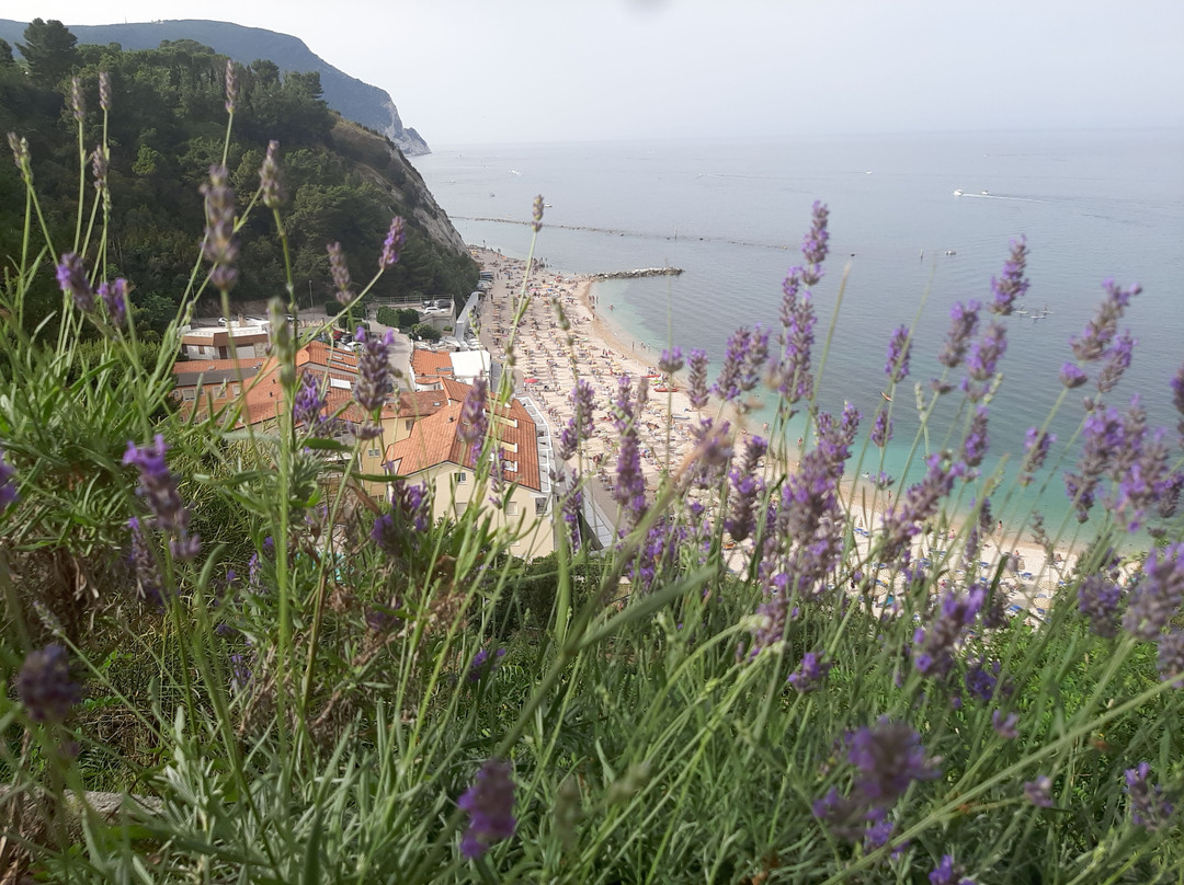 La Torre Di Numana
