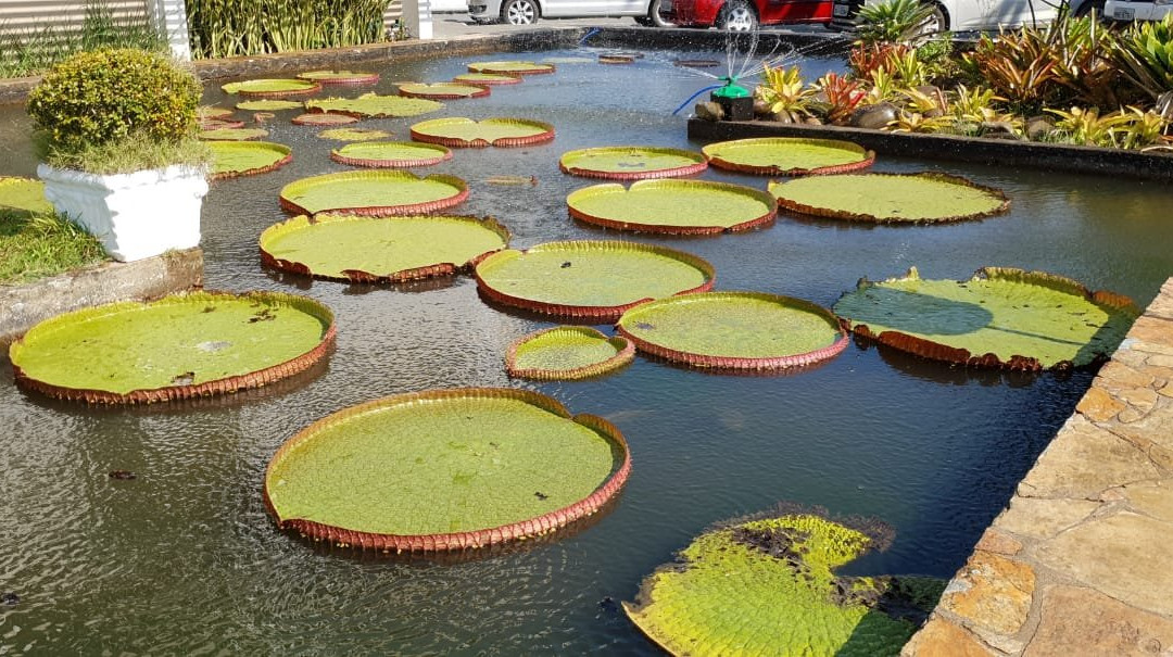 Praca Joao Hennings Filho