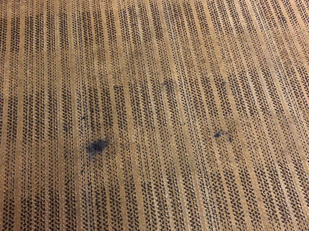 西雅图兰顿美国长居酒店主图