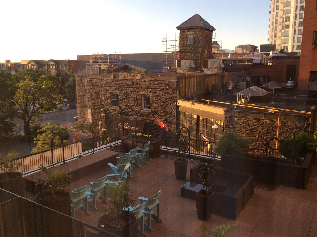 哈利法克斯市中心万怡酒店主图