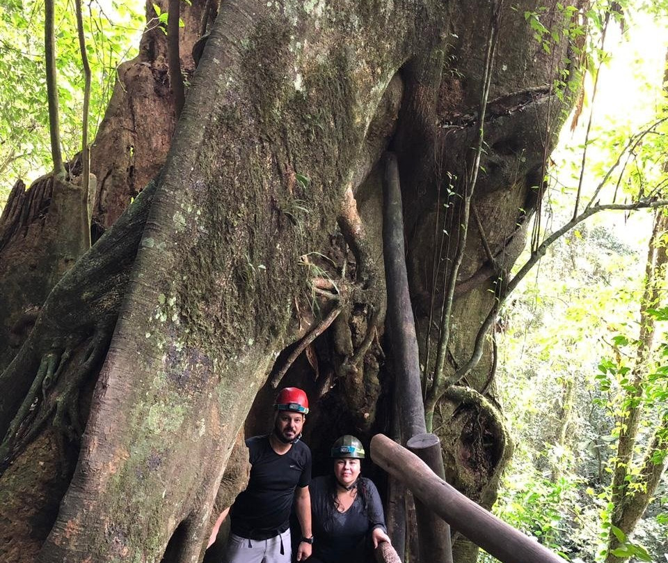 Pousada da Tammy主图