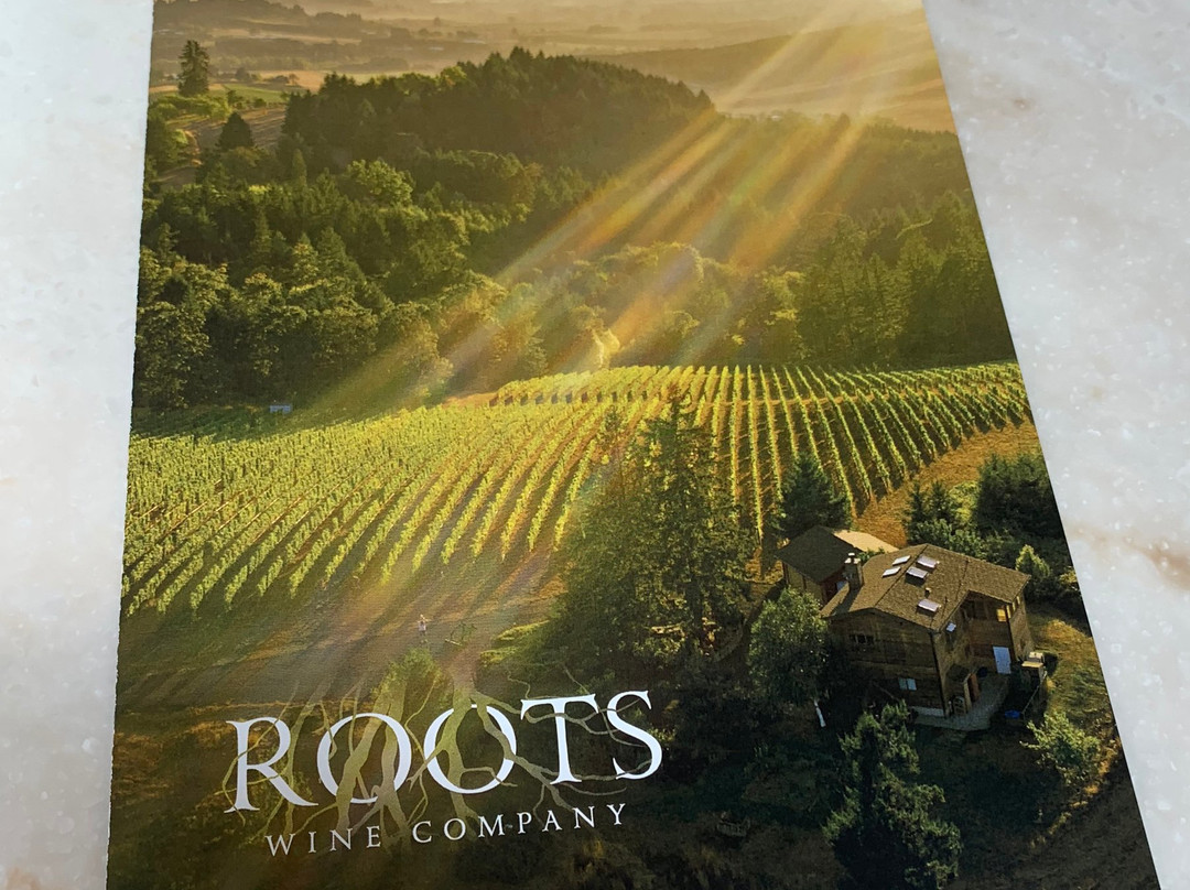 Roots Wine Company景点图片
