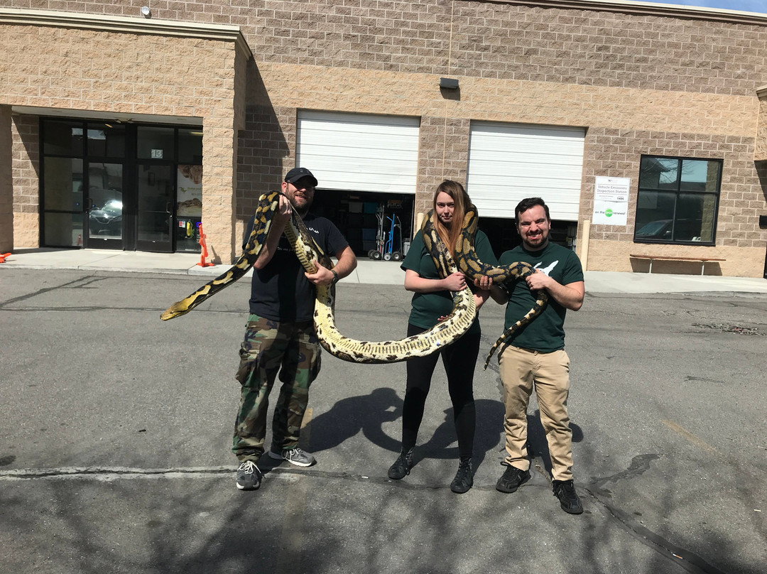 Scales and Tails Utah-西瓦利城必去景点