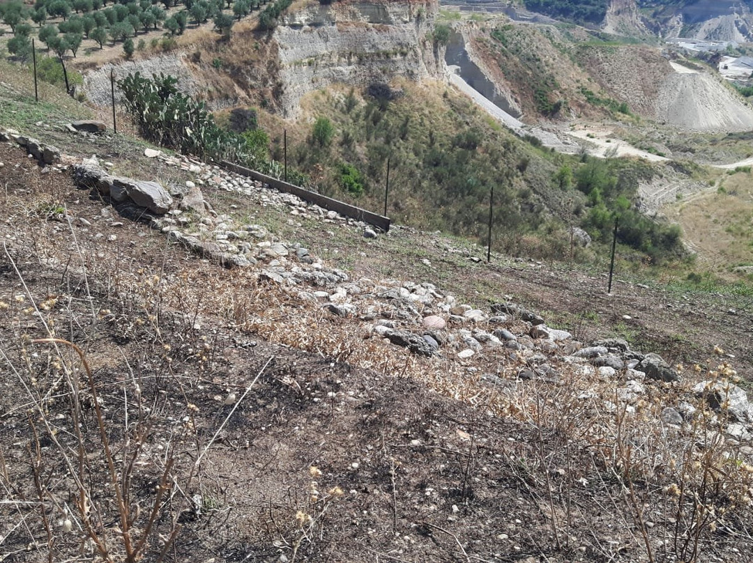 Parco Archeologico Torre del Mordillo景点图片