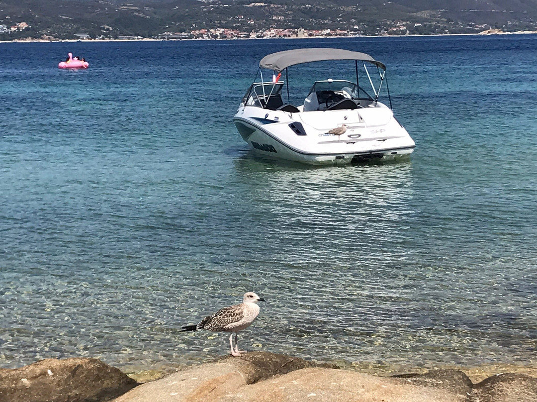 Agios Georgios Beach-Ammouliani必去景点