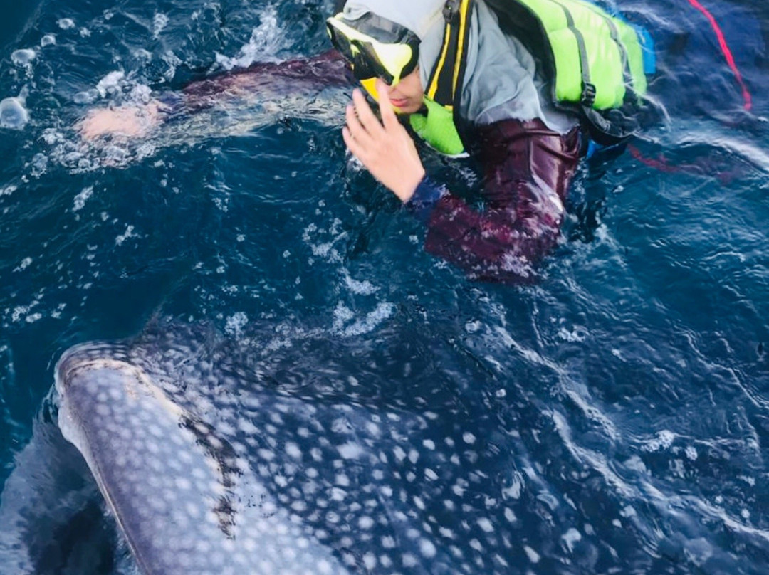 Talisayan Sea-伯劳必去景点