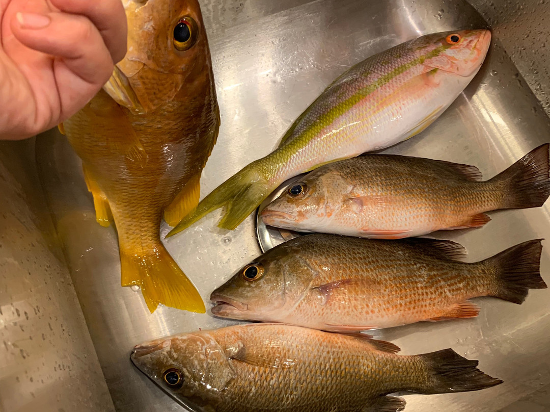 Fish City Pride Drift Fishing-庞帕诺比奇必去景点