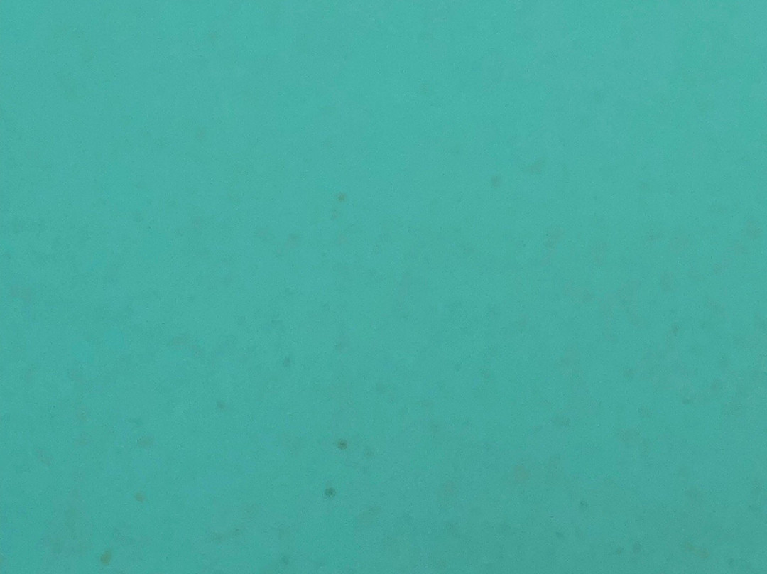 野生海滩度假村主图