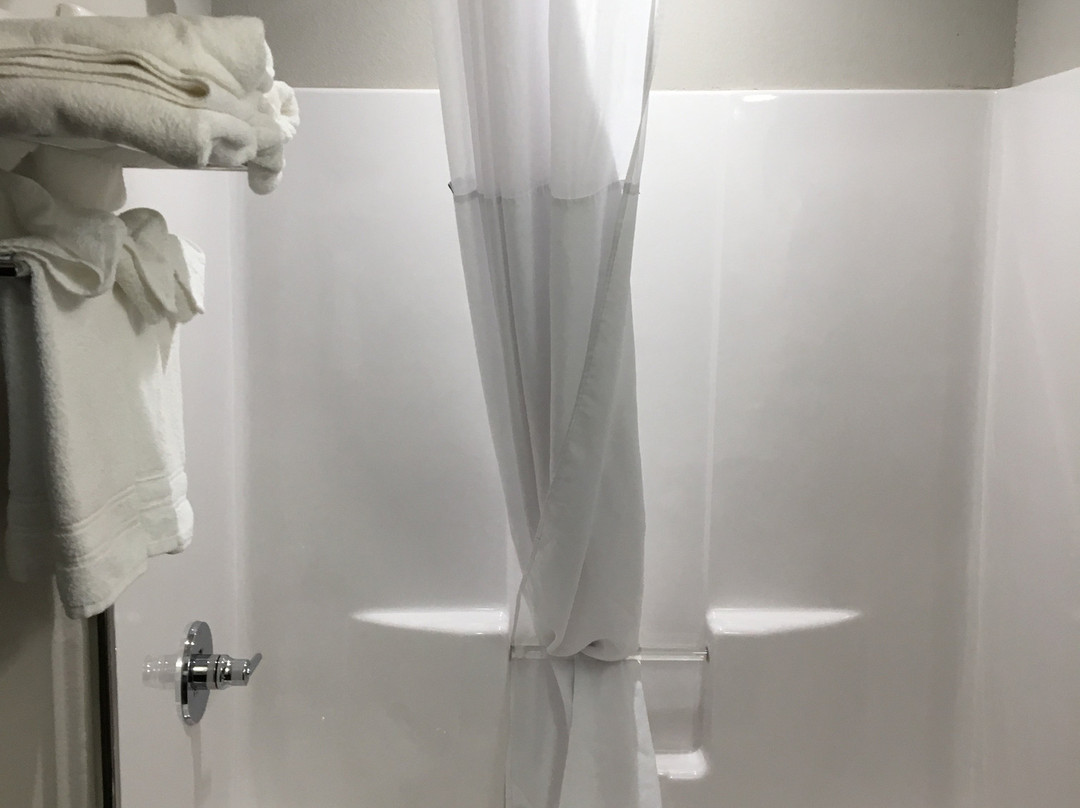 Microtel Inn and Suites by Wyndham Lubbock主图