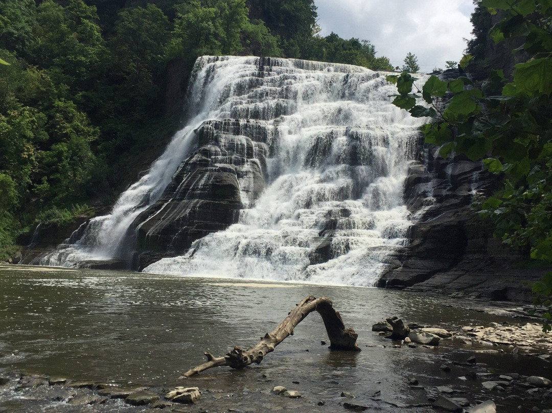 Ithaca Falls Natural Area景点图片