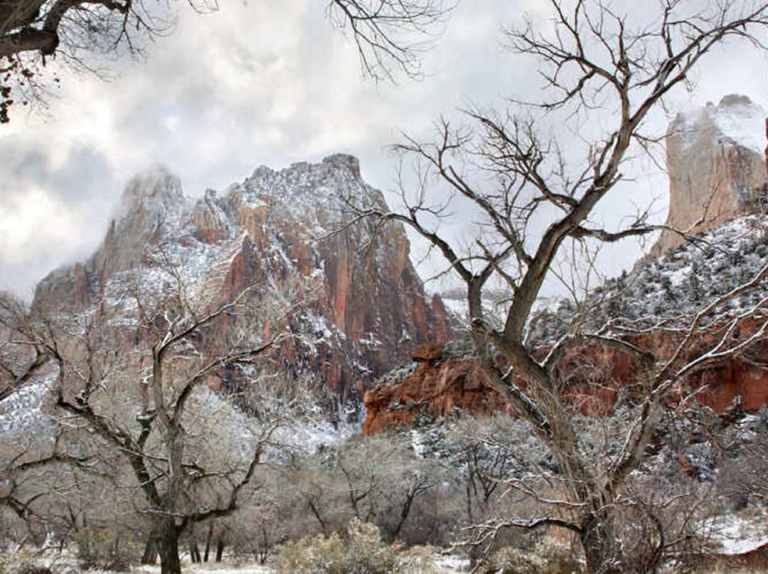 卡纳布智选假日酒店主图