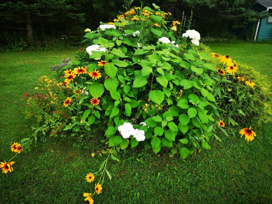 Motel du Village主图