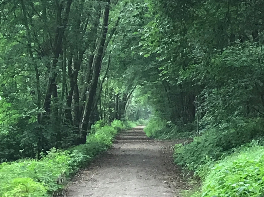 Stadtforst Obernberg Wanderweg景点图片