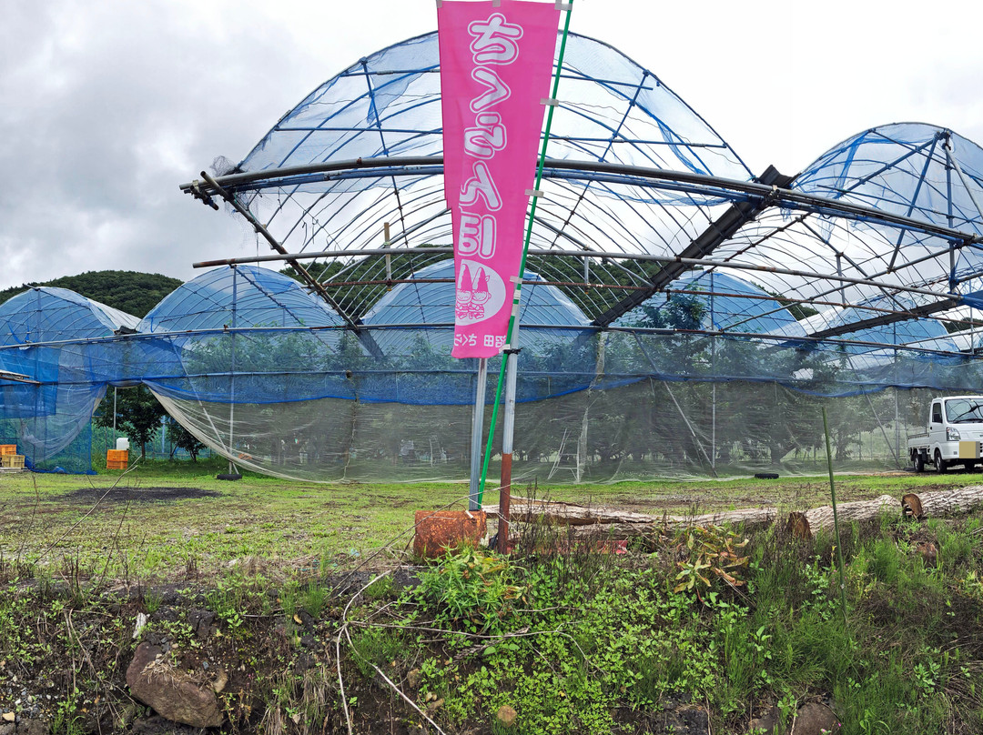 Komachi Orchards-沼田市必去景点
