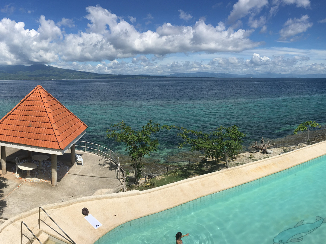 Bongavilla Beach Resort & Spa主图