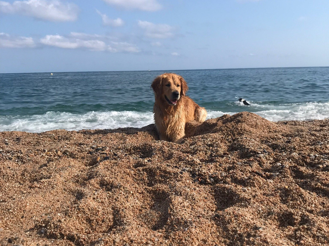 Platja Per Grossos-Pineda de Mar必去景点