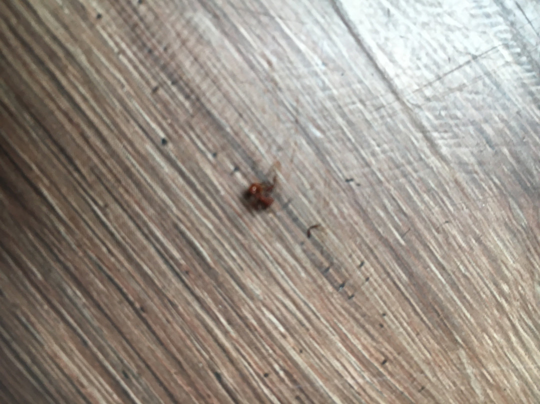 Laramie Valley Inn主图