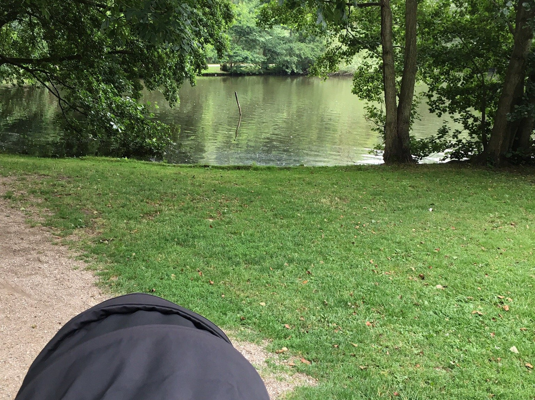 Skovsøen-欧登塞必去景点