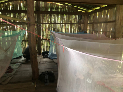 Chiangmai Jungle Trekking-清迈必去景点