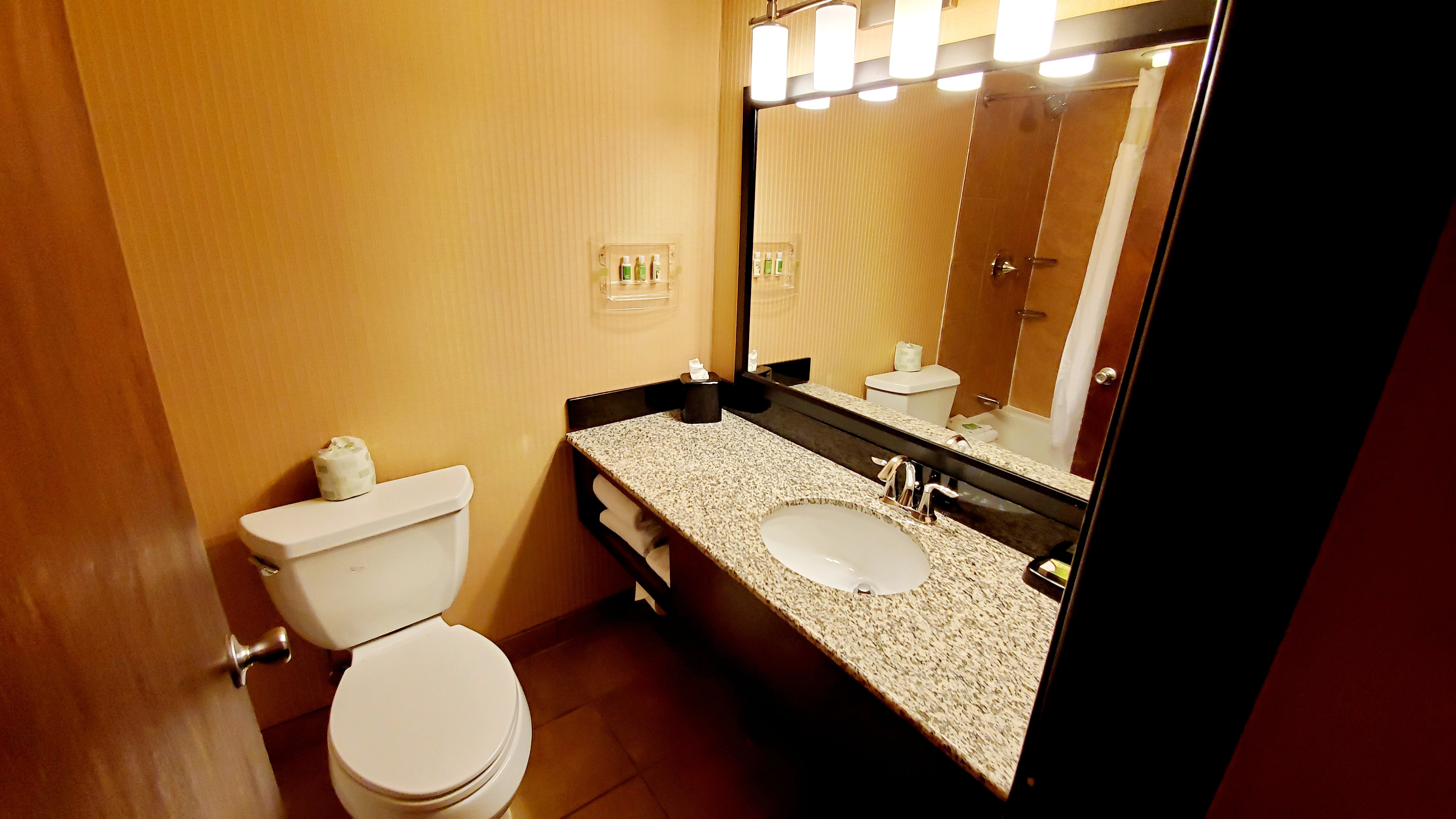 The Grand Hotel, Ascend Hotel Collection-浴室