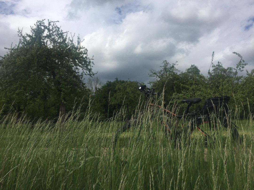 Fischerhutte Fischerverein Wendlingen e.V.