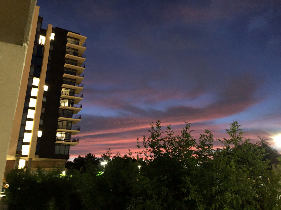 Found:Re Phoenix主图