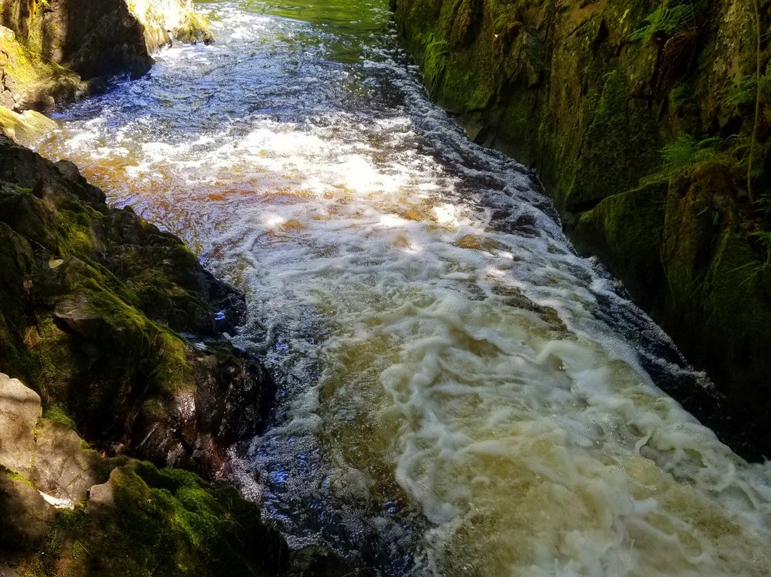 Smalley Falls-Pembine必去景点