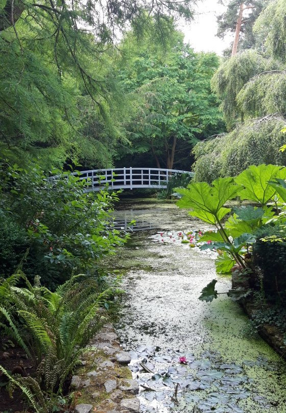 Holt - The Courts Garden near Trowbridge景点图片