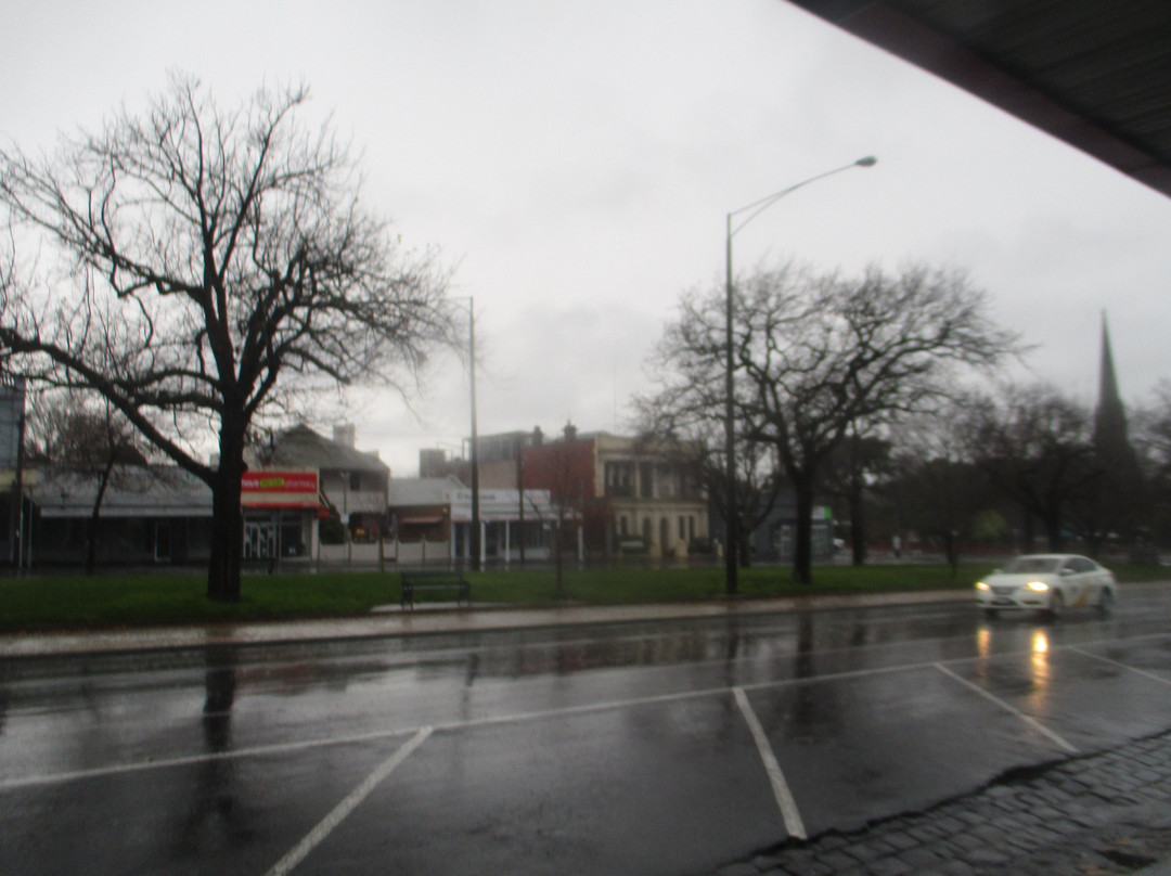 Sturt Street Gardens景点图片