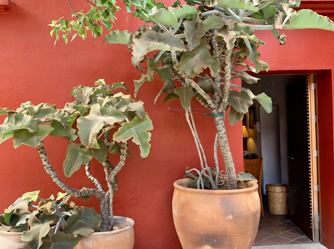 Hotel La Casona De Tita主图