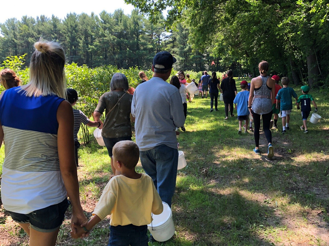 Blueberry Ranch-米沙沃卡必去景点