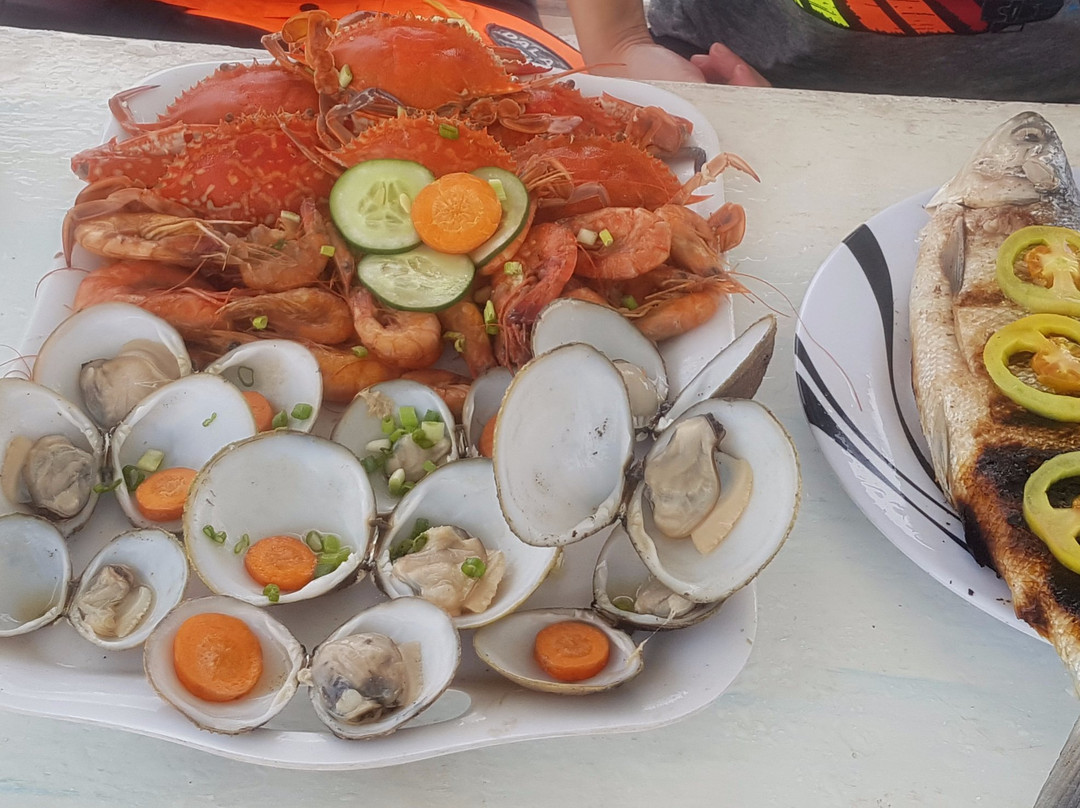 Dolphin Watching, Manjuyod Sandbar and Sportfishing Adventures in Bais Bay-拜斯市必去景点