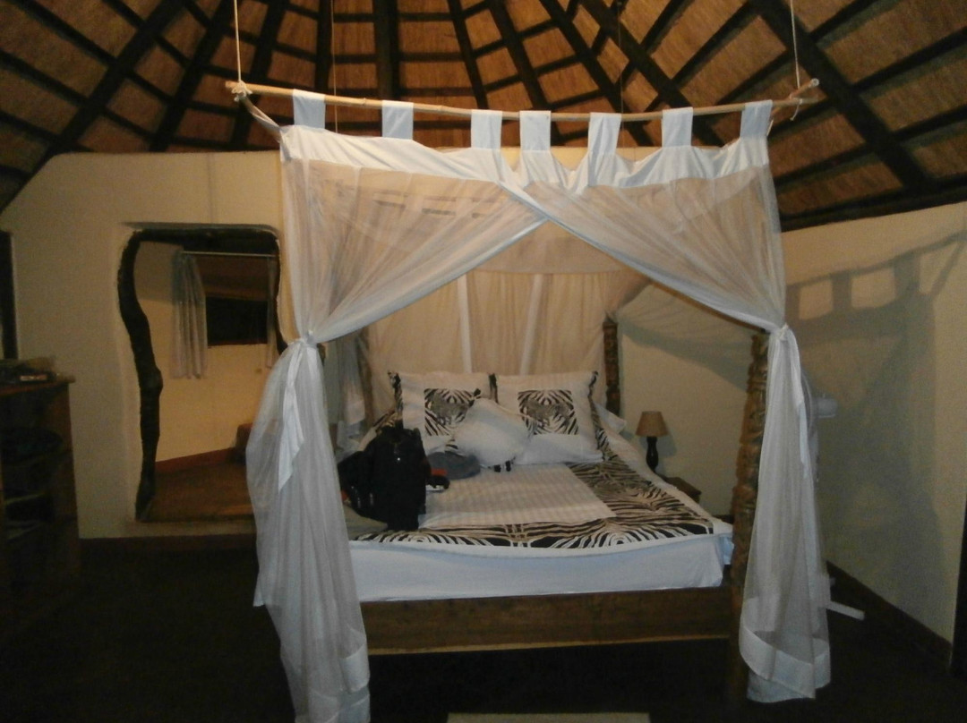 Pioneer Lodge Camp and Safaris