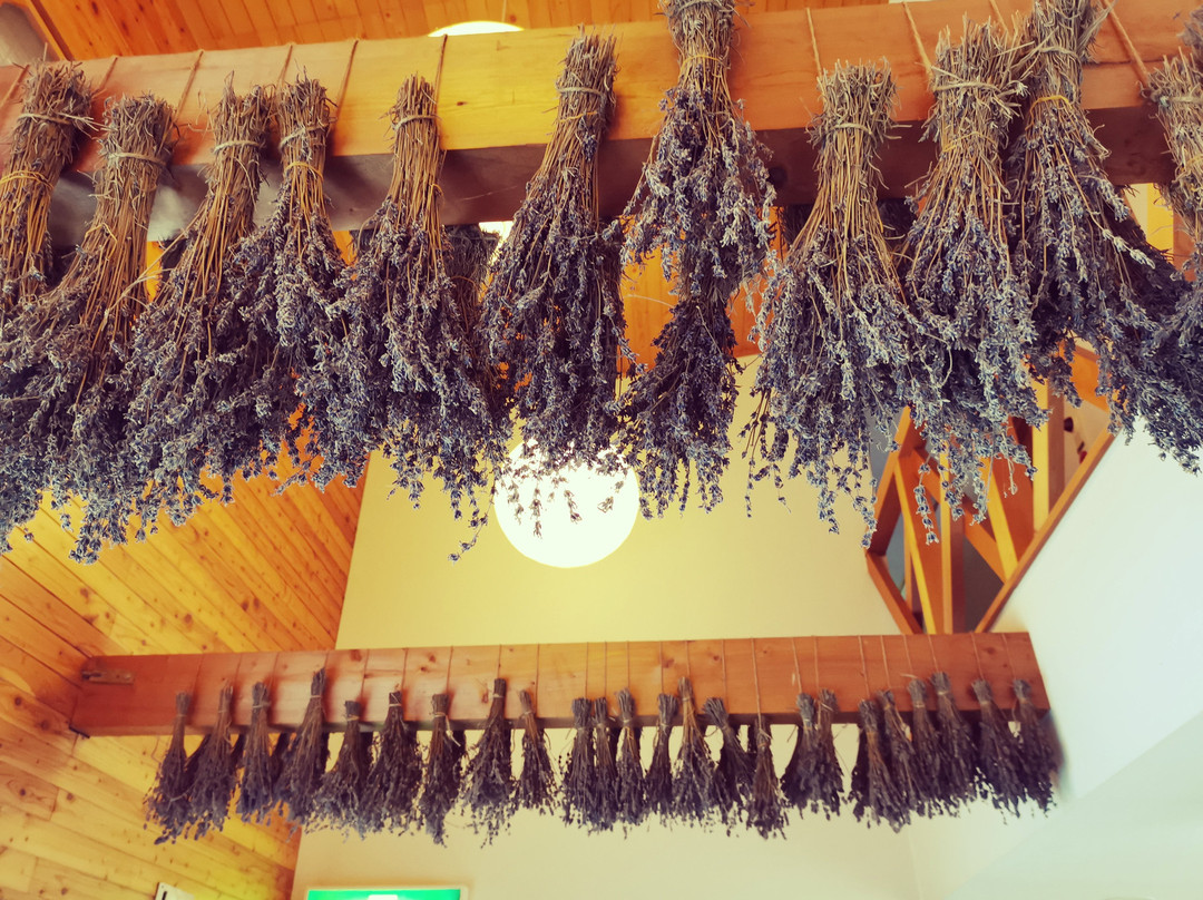 Pension Yamasan主图