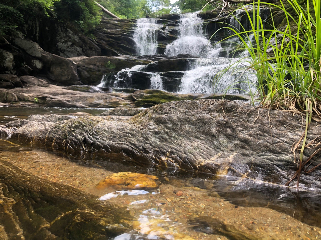 Conasauga Falls Trail景点图片