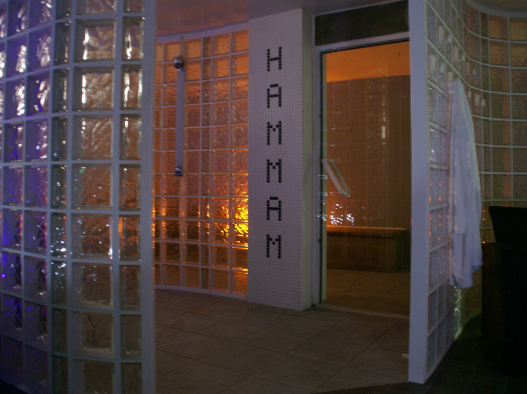 Hotel Restaurant Le Pont Napoleon主图