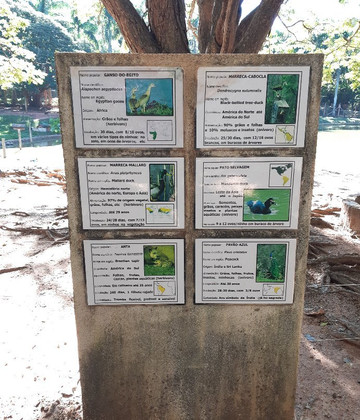 Zoologico Municipal de Sao Jose do Rio Preto-普雷图河畔圣若泽必去景点