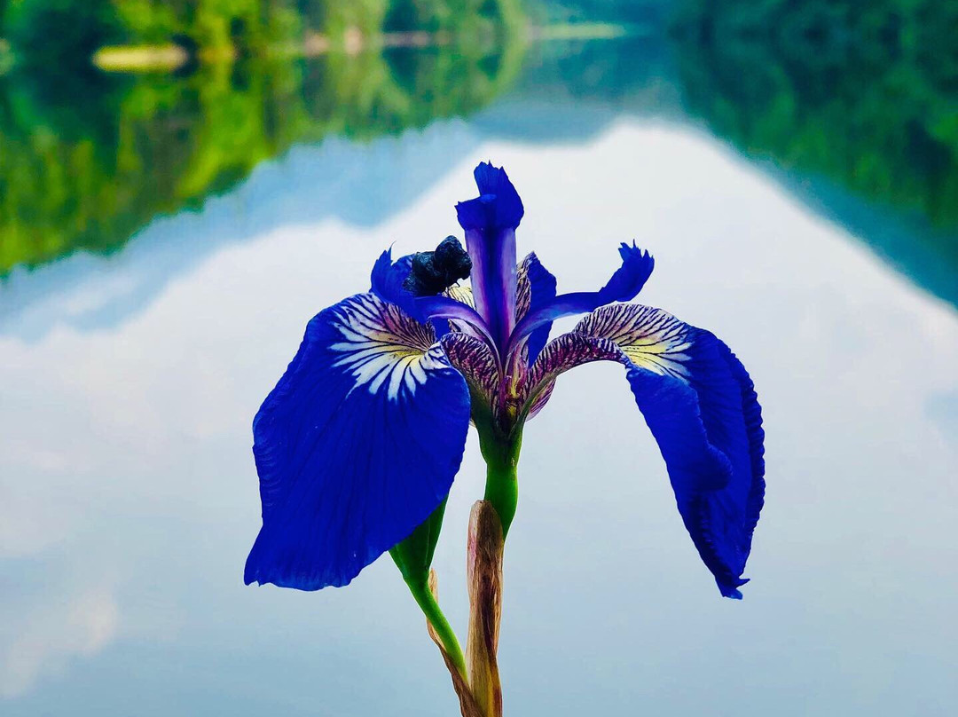 Lower Dewey Lake Hiking Trail-史凯威必去景点