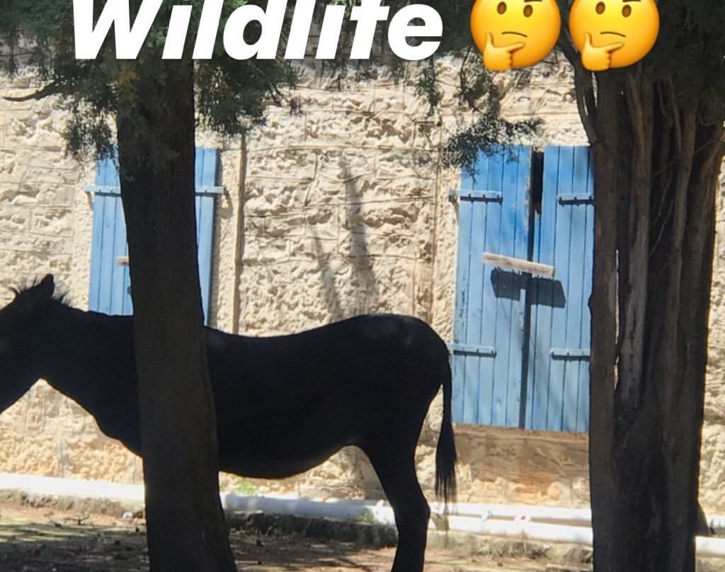 Excursion Antonio-普拉必去景点