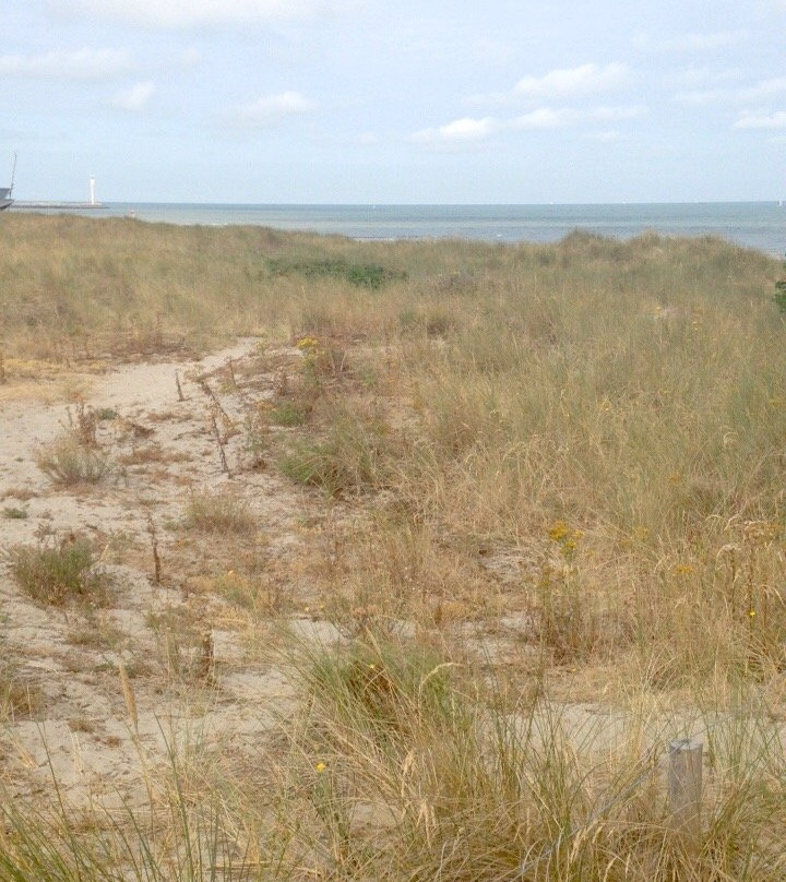The Dunes of Bredene-布雷德内必去景点