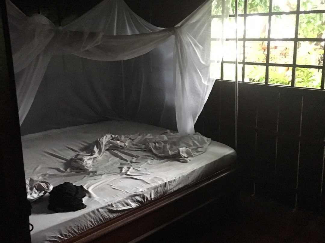 Mai's House Homestay主图