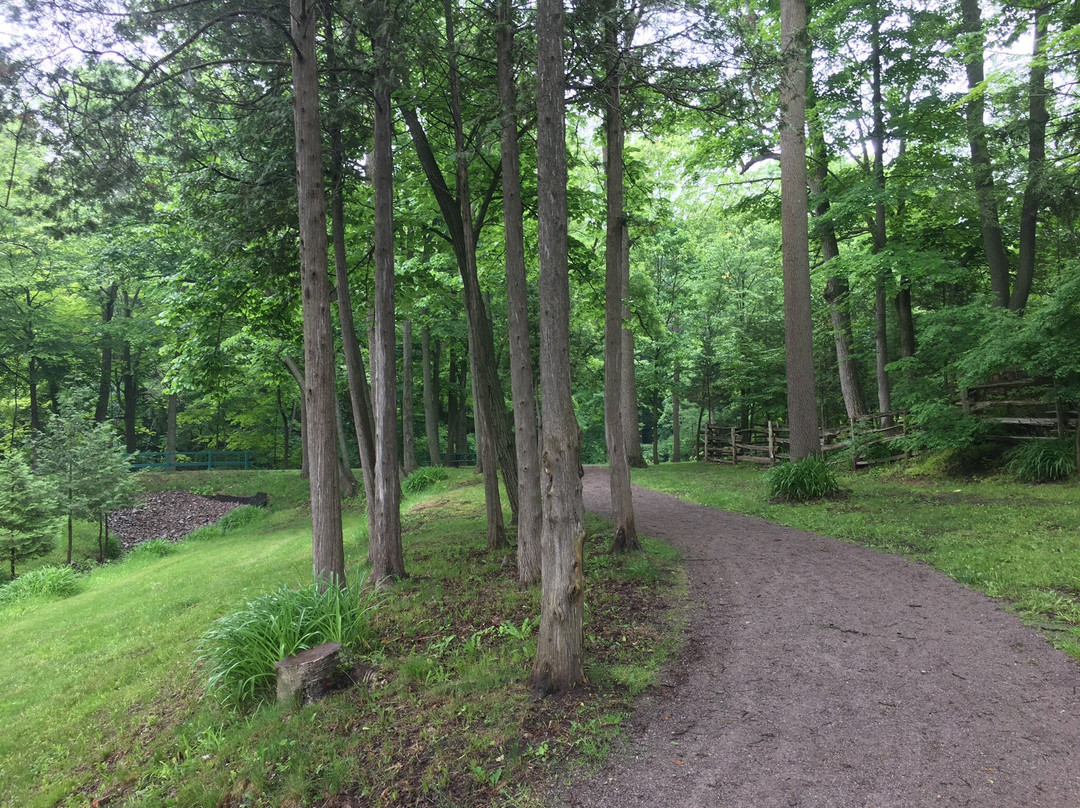 Quance Park景点图片