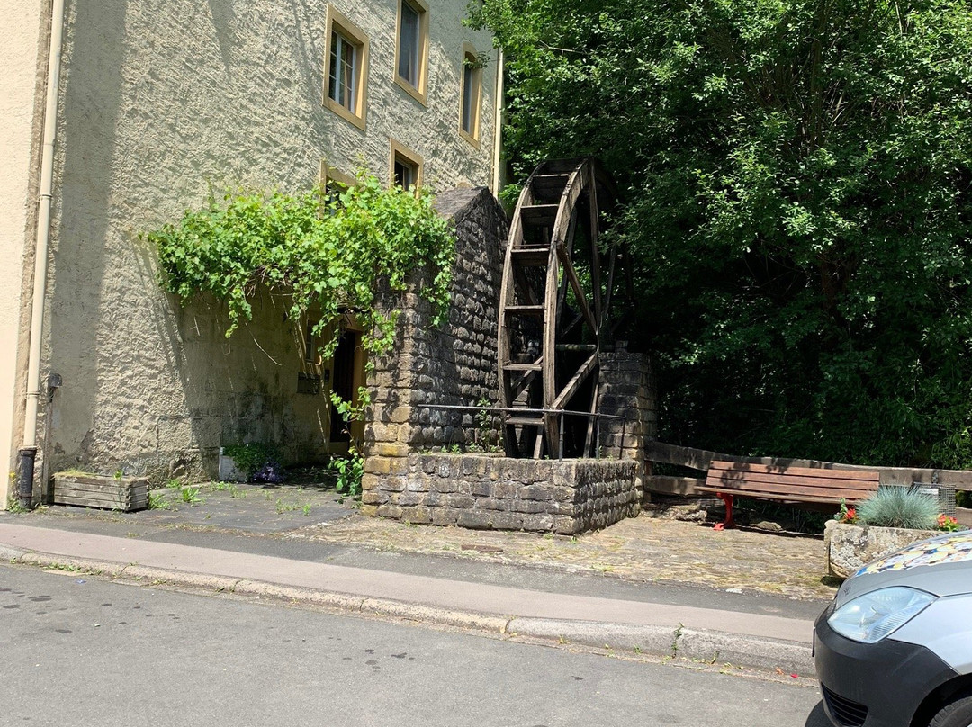 Hotel Ritschlay主图