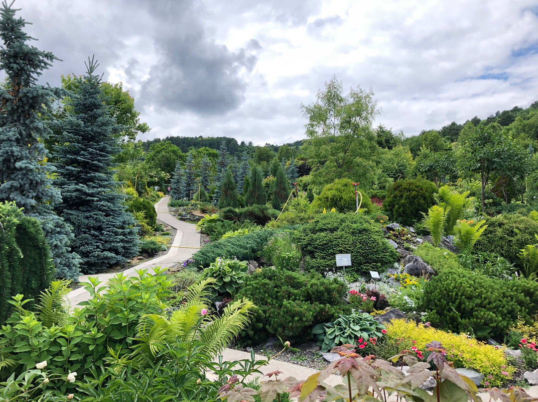 Blooming Valley Arboretum景点图片